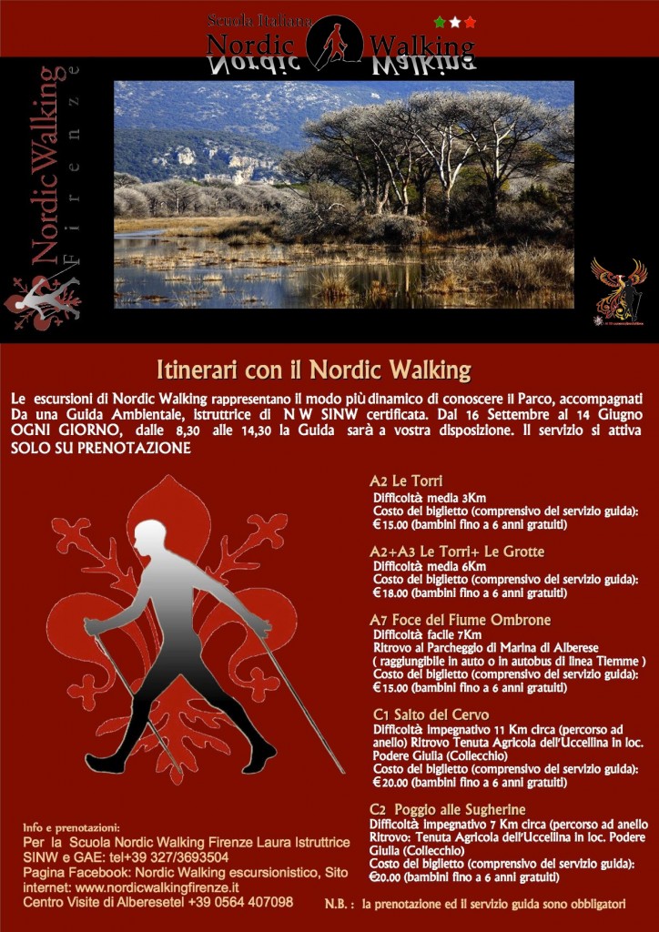 locandina-nw-724×1024