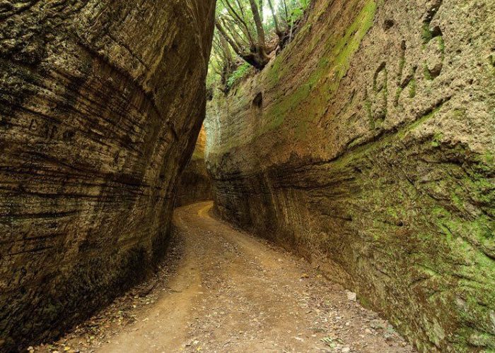 Agriturismo Maremma le Vie Cave di Sorano