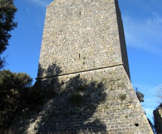 Agriturismo Maremma la Torre della Bella Marsilia