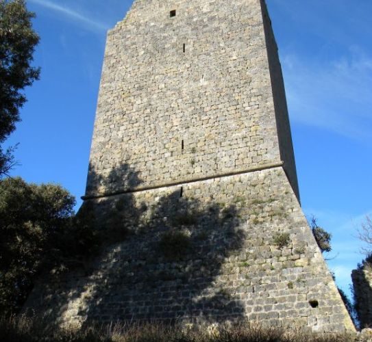 Agriturismo Maremma la Torre della Bella Marsilia