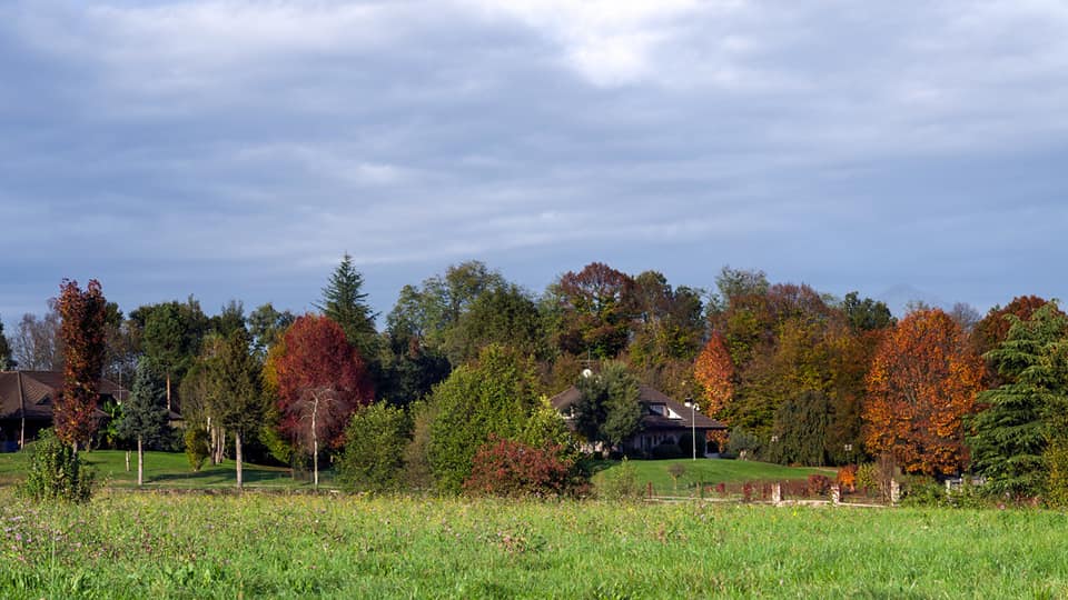 agriturismo parco dell'uccellina – magnaboschi-agriturismo