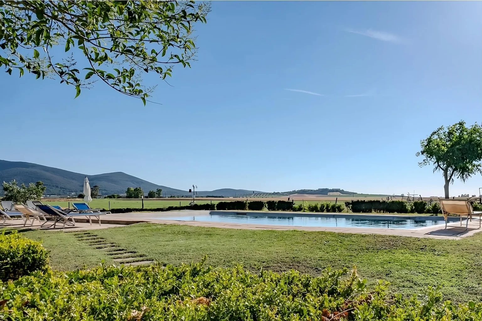 msg1269588868-402903-transformed-jpeg